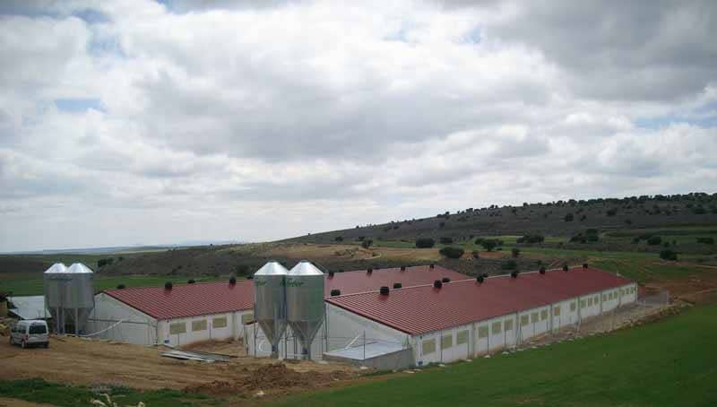 XII Jornada sobre ganado porcino del siglo XXI