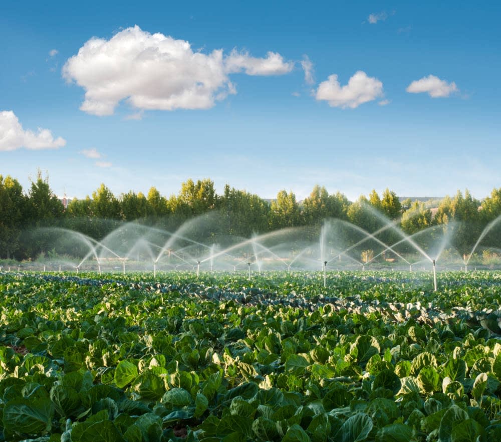 Jornada Demostrativa Sobre Eficiencia EnergÉtica En El Regadio