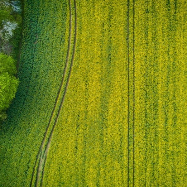 Tiempo de elecciones, poesía rural y cuentos urbanos