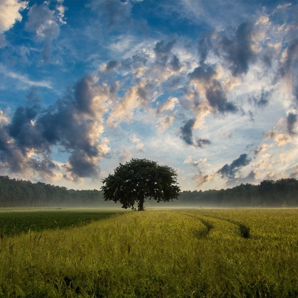 Video resumen de la Jornada Agraria ASAJA Huesca 2019