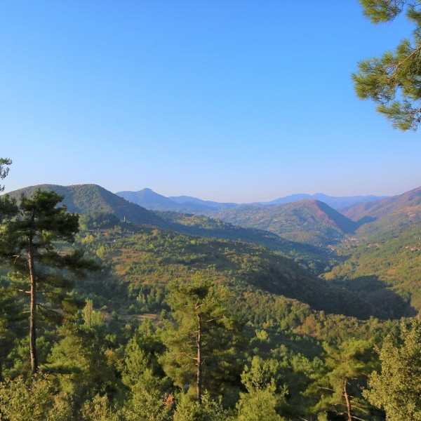 Editorial: «El Gran Tsunami»