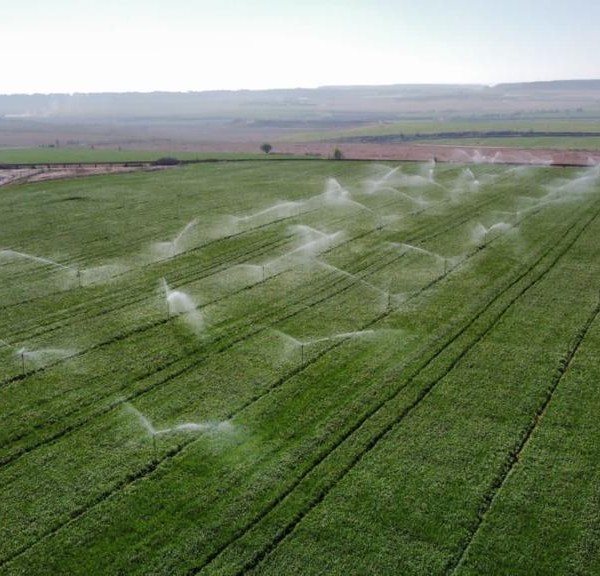 Novedades siembras otoño 2022 Reforma PAC 2023/2027