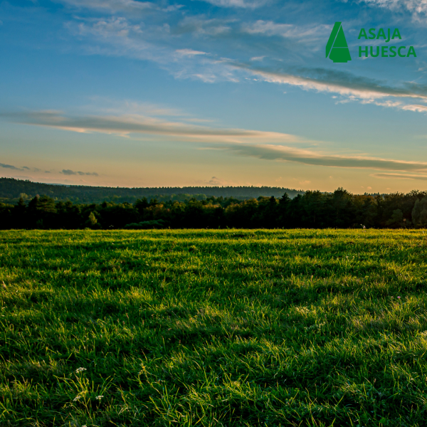 Ecorregímenes 2023: Importes Definitivos