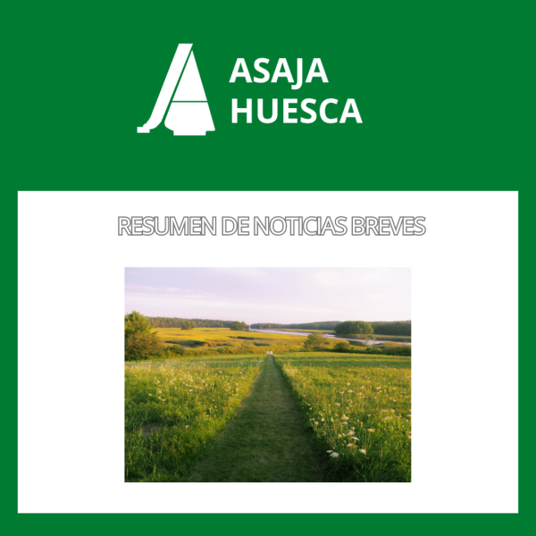 Resumen de noticias Breves