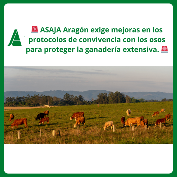 ASAJA Aragón pide mejoras en los protocolos de convivencia con los osos
