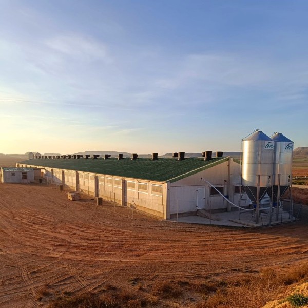 Valoración positiva desde ASAJA Huesca y ASAJA Lleida de la  moratoria al RD del porcino