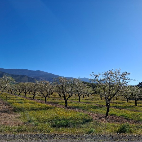 Incomprensible la exclusión de Zaragoza y Teruel dentro de las ayudas por sequía