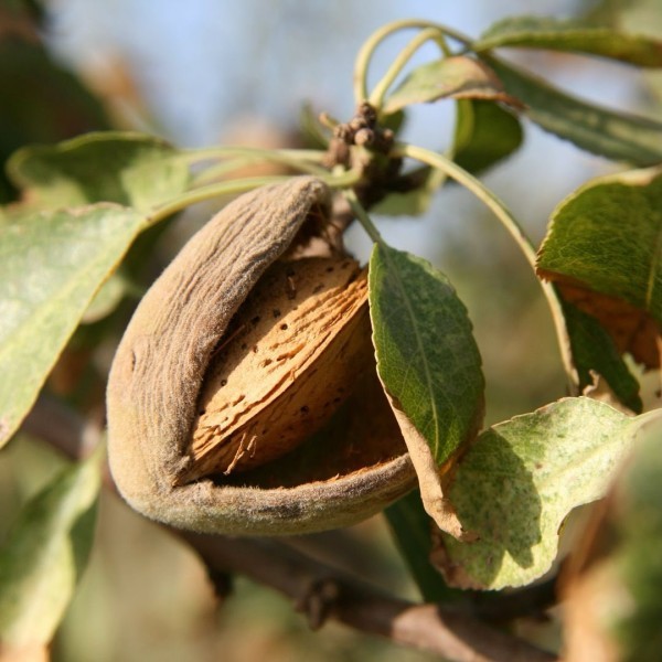 Iniciativa del Gobierno de Aragón:  interposición de un recurso contencioso administrativo