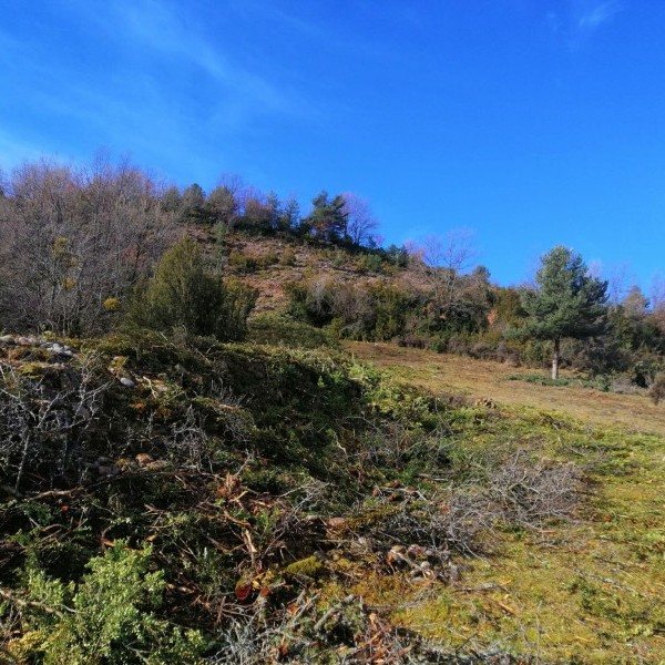 Asaja Aragón celebra la limpieza de cabañeras tras las reiteradas denuncias realizadas
