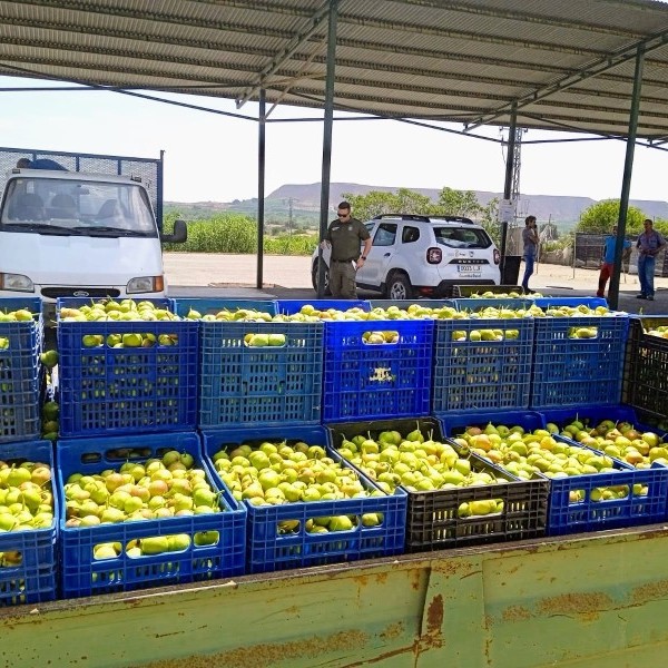 ASAJA Aragón, desde Bruselas, abogará por el consumo de fruta de proximidad en las escuelas